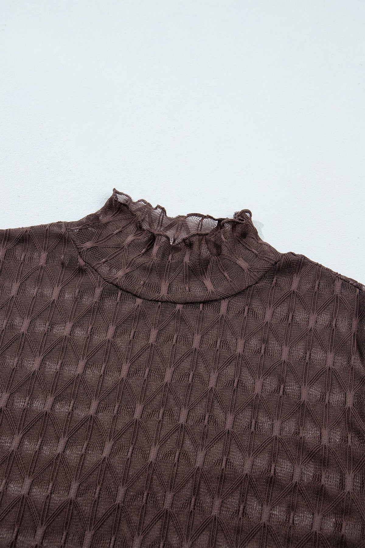 Solid Sheer Textured Lace Mock Neck Long Sleeve Top