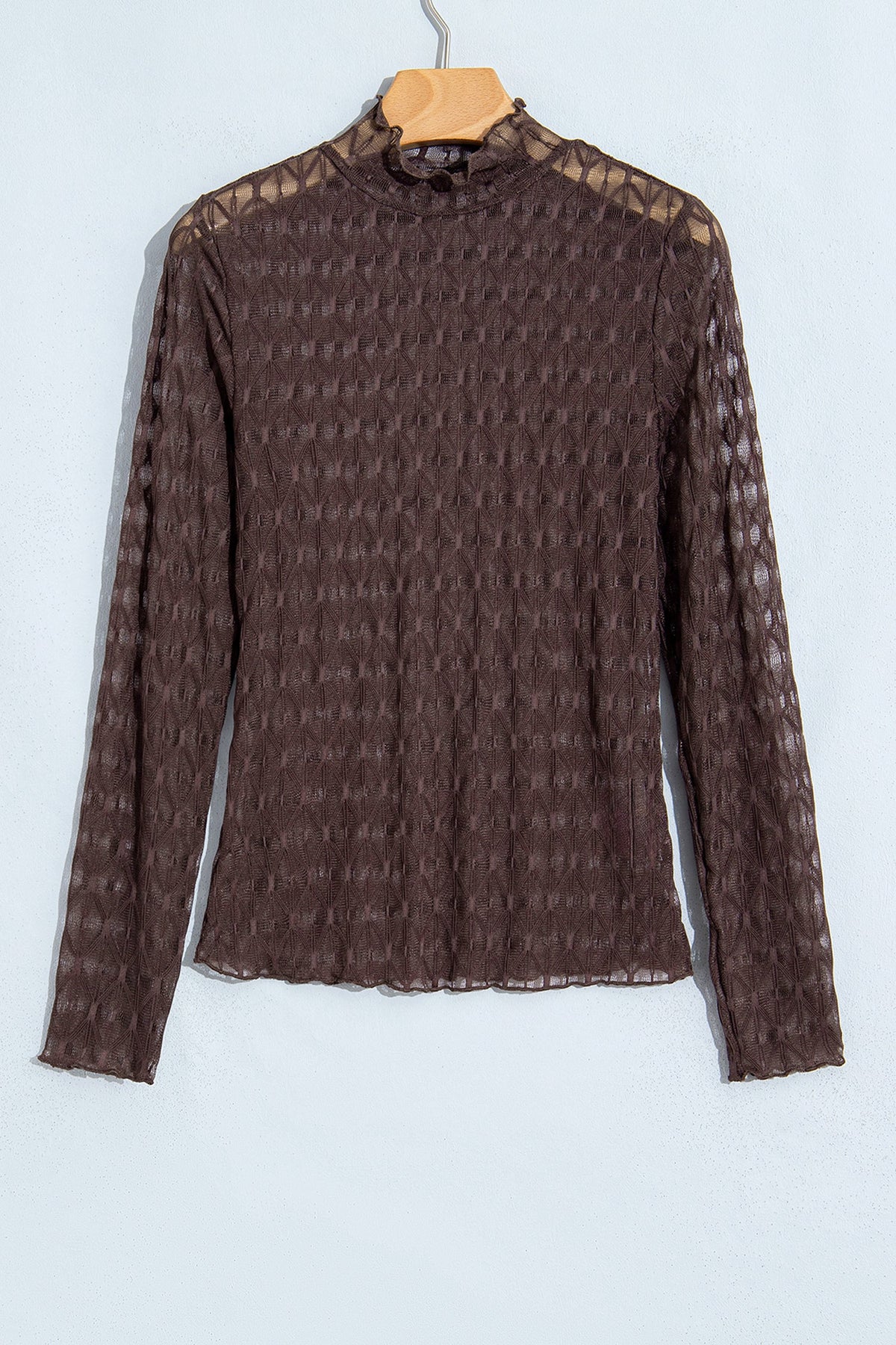 Solid Sheer Textured Lace Mock Neck Long Sleeve Top